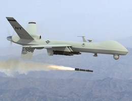 Mardin'de heron düştü!