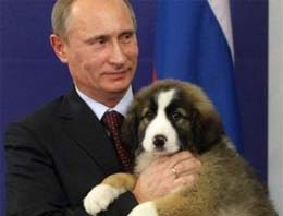 Bu köpek Rusya'yı birbirine kattı