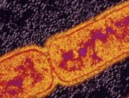 Yeni verem testi hayat kurtaracak