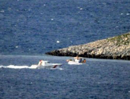 Kardak'ta yine çipura kapışması