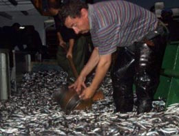 Denizden 'ikramiye' çıktı