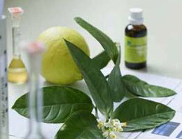 Avrupa Birliği'nden ilaçta sınırlama!