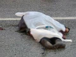 Konya'da trafik kazası: 1 ölü, 3 yaralı