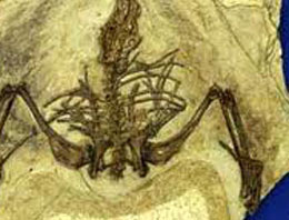 Türkiye'de bir ilk! Ziyaretçi bekliyor