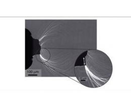 O dünyanın en dayanıklısı!