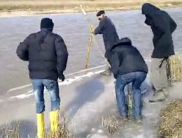 Türk işi balık avı böyle olur (video)