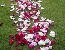 Sevgililer için alternatifler cep yakıyor!