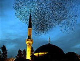 Al fotoğraf makinanı koş Beşiktaş'a