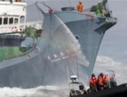 Japonya balina avını askıya aldı