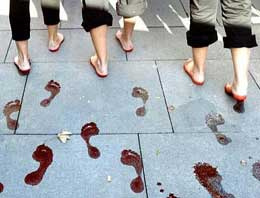 İnsanın kanını donduran rakamlar!