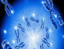 Göğüs kanserinin şifresi çözüldü