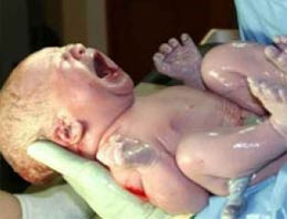 Bebek ticareti günden güne artıyor