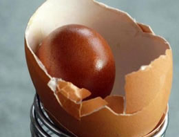 Yumurta'dan çıkan şok etti