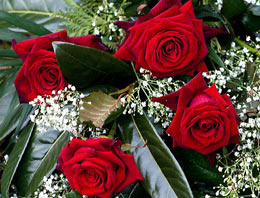 Dikensiz gül bahçesi gerçek oldu