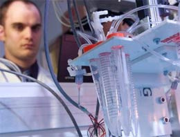 Bilim insanları yaratılışın sırlarını arıyor