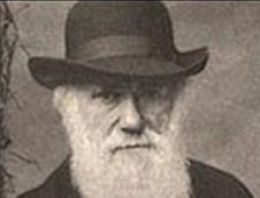 Dikkat! Hala evrim geçiriyor olabilirsiniz!