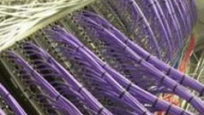 Fransız hükümetine siber saldırı