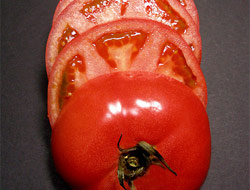 İştah kestiği ortaya çıktı