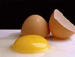 Bozulan yumurtayı nasıl anlarsınız?