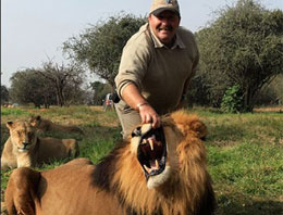 Tahran'da 14 aslan öldürüldü