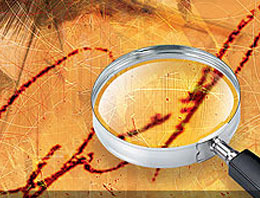 Islak İmza davasında şok rapor!