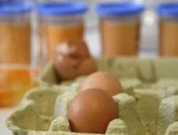 Almanya'da yumurta ve tavuk etinde dioksin skandalı