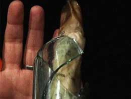 Büyük sır 100 yıl sonra ortaya çıktı!