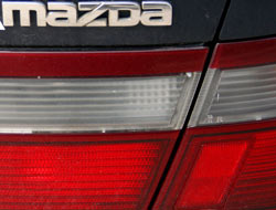 Mazda'yı örümcekler sardı!